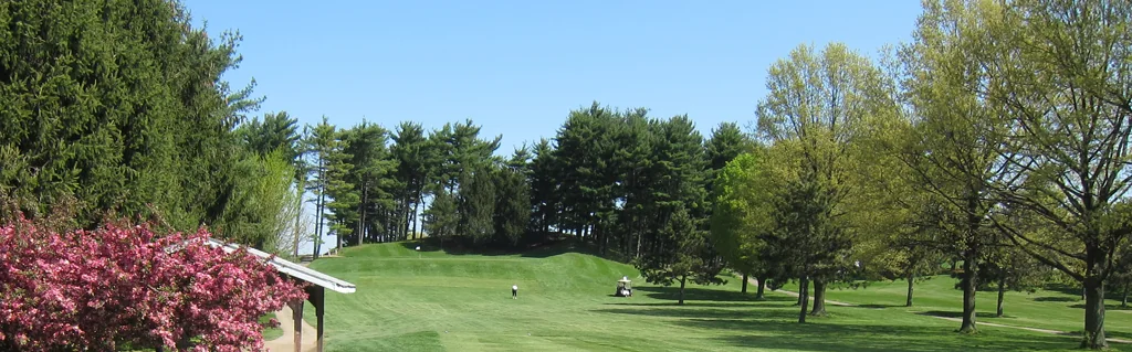 A tree-lined fairway at Pine Hill Golf Course with a golfer and cart in the distance.